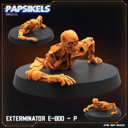 EXTERMINATOR E-800 - P
