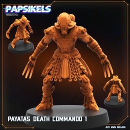 PAYATAS DEATH COMMANDO (1)
