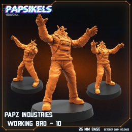 PAPZ INDUSTRIES WORKING BRO - 10