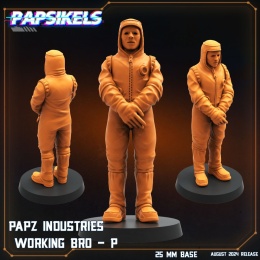 PAPZ INDUSTRIES WORKING BRO - P