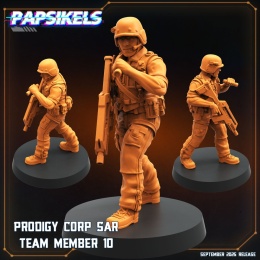 PRODIGY CORP SAR TEAM MEMBER - 10