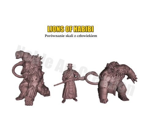 LIONS OF HABIBI LIONS OF HABIBI