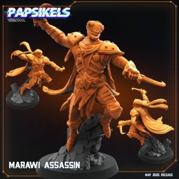 MARAWI ASSASSIN