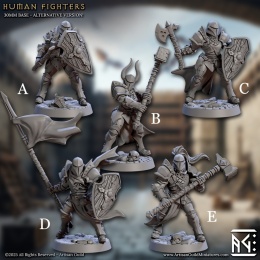 FIGHTER GUILD WARRIORS - UNIT 2