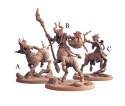 ARVERIAN CERVITAURS
