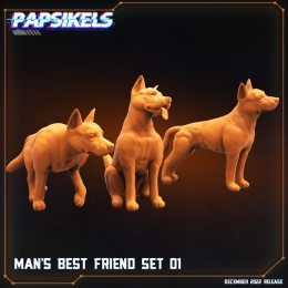 HUMAN RESILIENCE FIGHTER DOGS - MAN'S BEST FRIEND