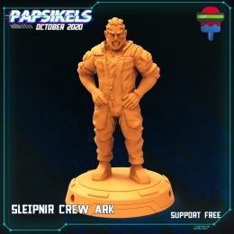 SLEINIR CREW ARK - 2