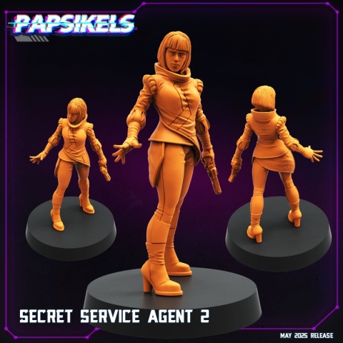 SECRET SERVICE AGENT - 2