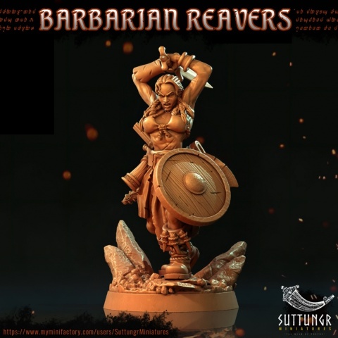 FEMALE BARBARIAN REAVER - 2