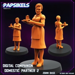 DIGITAL COMPANION DOMESTIC PARTNER - 2