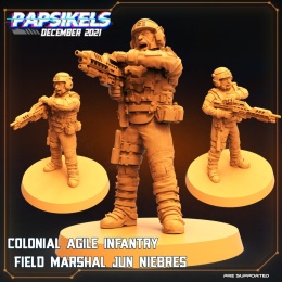 COLONIAL AGILE INFANTRY FIELD MARSHAL JUN NIEBRES