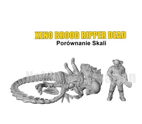 XENO BROOD RIPPER DEAD XENO BROOD RIPPER DEAD